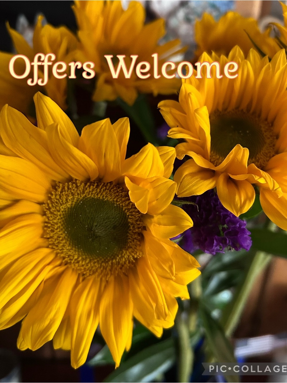 ~ Offers Welcome ~